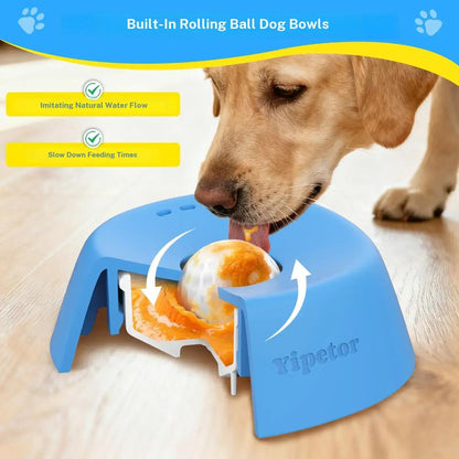 Slow Feeder Treat Bowl