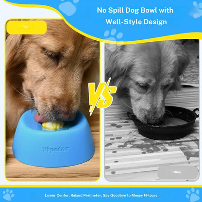 Slow Feeder Treat Bowl